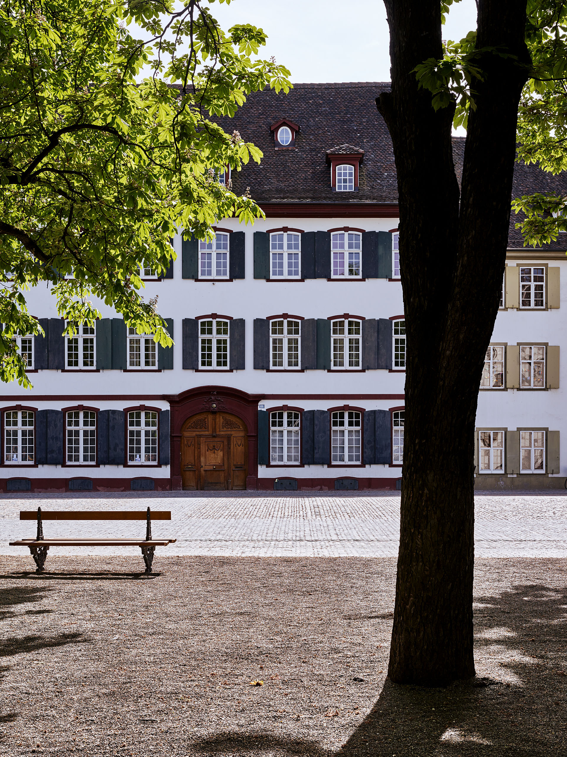 E12411 Alpa 050664 j2560